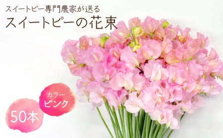 生産農家直送！】スイートピー 花束 50本（ピンク）【木下農園