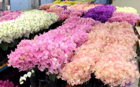 【R8年1月以降発送】 【3回定期便】スイートピー 花束 50本（ホワイト・ピンク・紫） / 生花 [IBW007]