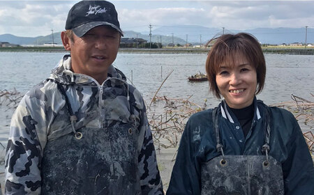 【年末発送】【先行予約】田島屋れんこん 約3kg（泥付き）【田島屋れんこん】 /新鮮なれんこんを産地直送！ れんこん 蓮根 レンコン 佐賀県産 白石町産れんこん 泥付きれんこん れんこん 蓮根 レンコン シャキシャキ ホクホク 甘いれんこん おでん きんぴら れんこん 蓮根 レンコン 煮物 天ぷら れんこん 蓮根 レンコン 保存 れんこん 蓮根 レンコン 年末年始 大晦日 お正月 [IAV003]