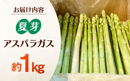 夏芽 アスパラガス 約1kg / アスパラ [ICS002]