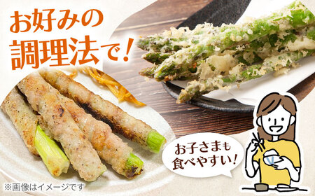 夏芽 アスパラガス 約1kg / アスパラ [ICS002]