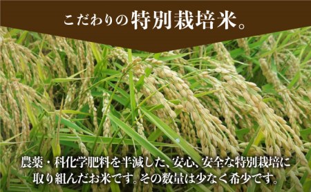 【先行予約】令和6年産新米！ 特別栽培米 ひのひかり 10kg（白米）山口さんちの贈り物【y'scompany】/お米 ごはん ご飯 特別栽培米 ブランド米 [IAS009]