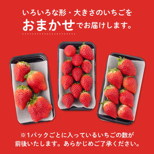 R8年1月以降発送】「いちごさん」460g / いちご [IAA037]