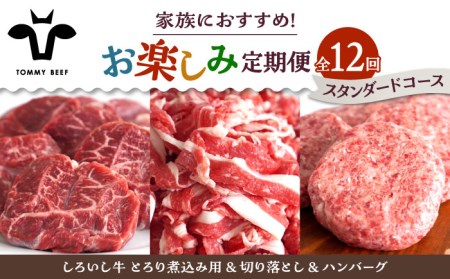 【12回定期便】家族向け お楽しみ 定期便/ 牛肉 [IAH211]