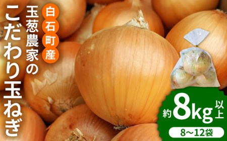【先行予約】小分け 玉ねぎ 約8kg / 玉ねぎ [IAO020]