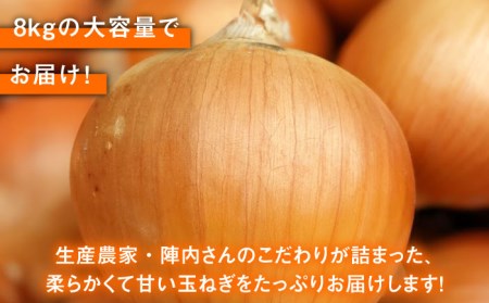 【先行予約】小分け 玉ねぎ 約8kg / 玉ねぎ [IAO020]