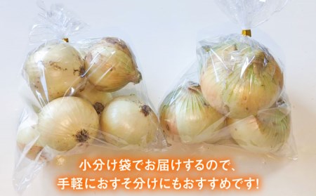 【先行予約】小分け 玉ねぎ 約8kg / 玉ねぎ [IAO020]