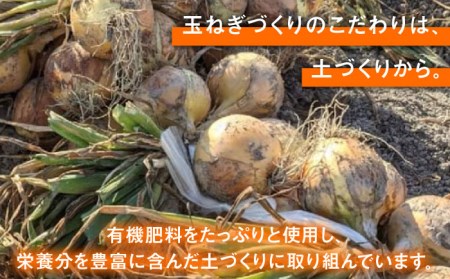 【先行予約】小分け 玉ねぎ 約8kg / 玉ねぎ [IAO020]