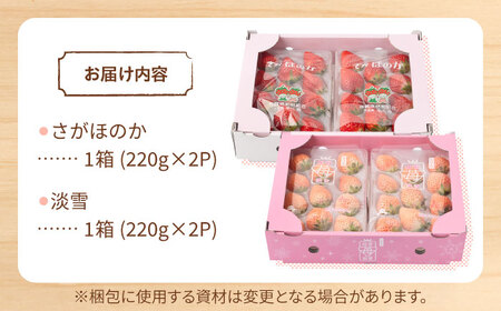 【先行予約】赤白いちご食べ比べセット！ /  いちご [IAP028]