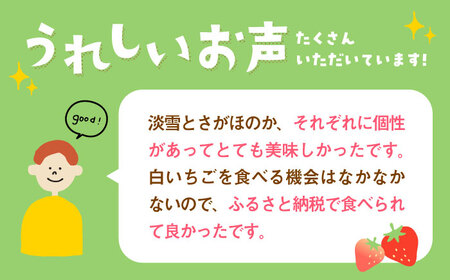 【先行予約】赤白いちご食べ比べセット！ /  いちご [IAP028]