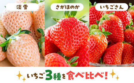 【人気！】いちご 3品種食べ比べ！ /  いちご [IAP029]
