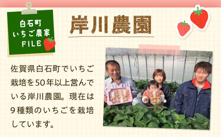 【人気！】いちご 3品種食べ比べ！ /  いちご [IAP029]