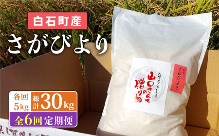 【先行予約】【6回定期便】特別栽培米 さがびより5kg（白米） 〜山口さんちの贈り物〜【y'scompany】/米 お米 白米 ごはん ご飯 特別栽培米 ブランド米 さがびより 定期便 [IAS016]