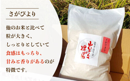 【先行予約】【6回定期便】特別栽培米 さがびより5kg（白米） 〜山口さんちの贈り物〜【y'scompany】/米 お米 白米 ごはん ご飯 特別栽培米 ブランド米 さがびより 定期便 [IAS016]