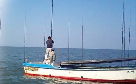 佐賀県有明海産一番摘み高級海苔　焼のりセット 定期便隔月６回コース  焼海苔  塩海苔  高級海苔  バラ干し海苔  定期便海苔 佐賀県 太良町 SU1