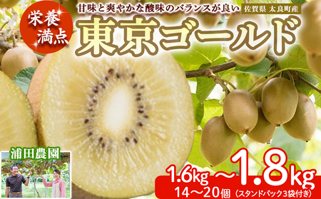 LB-13 栄養満点！東京ゴールド（キウイフルーツ） 14～20個 1.6kg～1.8kg スタンドパック 3袋付き キウイフルーツ キウイ フルーツ 東京ゴールド くだもの 果物 ミネラル豊富 太良町 国産 贈答用