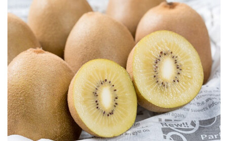 LB-13 栄養満点！東京ゴールド（キウイフルーツ） 14～20個 1.6kg～1.8kg スタンドパック 3袋付き キウイフルーツ キウイ フルーツ 東京ゴールド くだもの 果物 ミネラル豊富 太良町 国産 贈答用