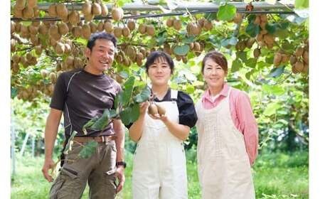 LB-13 栄養満点！東京ゴールド（キウイフルーツ） 14～20個 1.6kg～1.8kg スタンドパック 3袋付き キウイフルーツ キウイ フルーツ 東京ゴールド くだもの 果物 ミネラル豊富 太良町 国産 贈答用