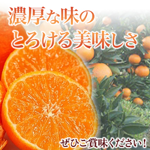 M-85 スペイン生まれのたら育ちクレメンティン 3kg クレメンティン みかん 柑橘 国産 オレンジ マンダリン 希少 ジューシー 佐賀県 太良町