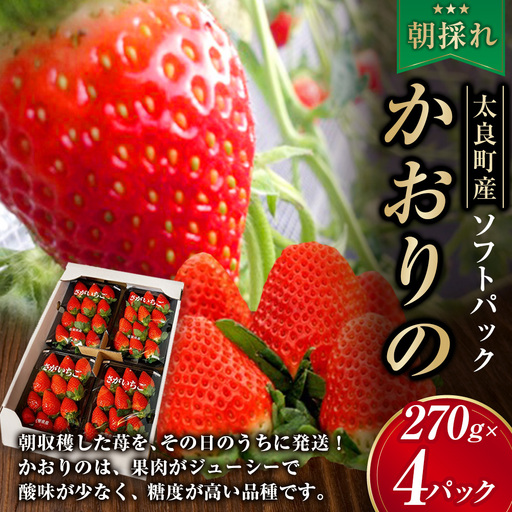 NB-5 太良町産「かおりの」ソフトパック4P 生産者直送！朝採り苺！ 太良町 かおりの 国産 佐賀県産 太良町産 いちご 苺 イチゴ 甘い 約270g × 4パック 朝採り 果肉がジューシー 糖度高め  葉隠工房 レトロカフェ
