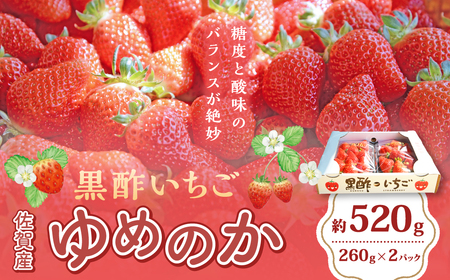 N-239 黒酢いちご(ゆめのか)　平パック　２６０ｇ×２パック 黒酢いちご 黒酢苺 黒酢イチゴ いちご 苺 イチゴ ストロベリー ゆめのか 甘い 美味しい おいしい 太良町 佐賀 冷蔵品
