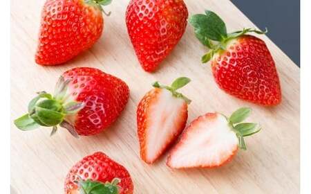 N-239 黒酢いちご(ゆめのか)　平パック　２６０ｇ×２パック 黒酢いちご 黒酢苺 黒酢イチゴ いちご 苺 イチゴ ストロベリー ゆめのか 甘い 美味しい おいしい 太良町 佐賀 冷蔵品