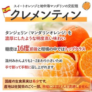 山本農園のクレメンティン ３kg クレメンティン みかん 柑橘 国産 オレンジ マンダリン 希少 ジューシー くだもの 果物 フルーツ 新鮮 贈り物 ギフト 佐賀県 太良町 L41