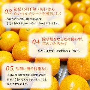 N-22 果樹園みかんの木の樹上甘熟みかん 5kg みかん ミカン