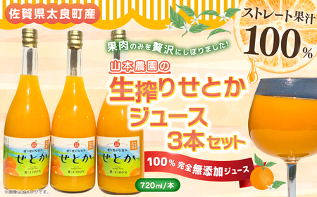 NC-13 山本農園の生搾りせとか　３本セット 飲料 オレンジジュース ジュース 生搾り みかん 蜜柑 ミカン おれんじ オレンジ フルーツ 果物 くだもの ジューシー 柑橘  国産 完熟 ジューシー プレゼント 贈り物 ギフト 3本 セット 佐賀県 太良町