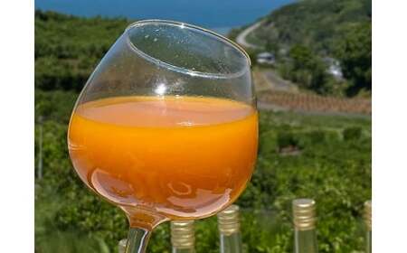 山本農園のお楽しみ無添加ジュース 3本セット 100％ジュース 無添加ジュース 無添加 ジュース みかんジュース 720ml 3本 温州みかん クレメンティン スイートスプリング せとか なつみ はるか おでこちゃん ニューサマーオレンジ 温州 みかん ミカン 蜜柑 温州蜜柑 温州ミカン フルーツ くだもの 果物 ミネラル豊富 国産 贈答用 佐賀県 太良町 N118