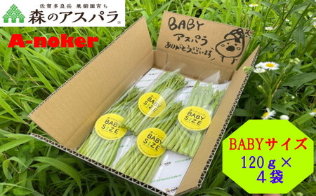BABYサイズ 森のアスパラ 120g×4袋  アスパラガス アスパラグリーンアスパラガス 旬 野菜 佐賀県 太良町 L147