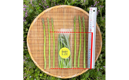 BABYサイズ 森のアスパラ 120g×4袋  アスパラガス アスパラグリーンアスパラガス 旬 野菜 佐賀県 太良町 L147