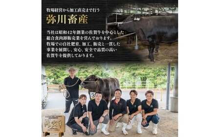 T-23 佐賀牛 ローストビーフ 定期便 (年6回 奇数月発送) ブロック 国産牛 和牛 ブランド牛 牛肉 肉 高級 おすすめ 佐賀県 太良町