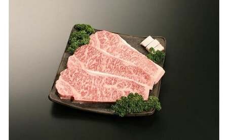 Q-9 佐賀牛 ステーキ 450g (150g×3枚) 国産牛 和牛 ブランド牛 牛肉 肉 おすすめ 佐賀県 太良町