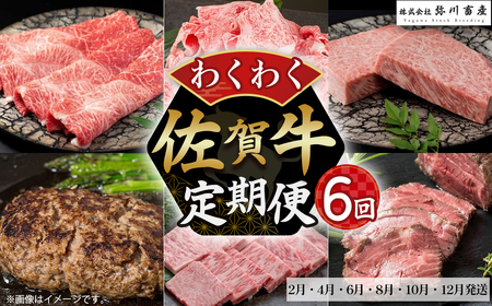 ZF1 佐賀牛 わくわく便 6回コース (偶数月配送) 定期便 6回 すき焼き サーロインステーキ ハンバーグ カルビ焼肉 カルビ 焼肉 切落し ローストビーフ 国産牛 和牛 ブランド牛 牛肉 肉 高級 人気 おすすめ 佐賀県 太良町