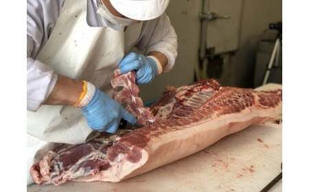 【希少部位！好評につき1〜2ヶ月待ち】さばきたて工場直送新鮮豚肉バラ軟骨 3.5kg さばきたて 工場直送 豚バラ軟骨 豚バラ 軟骨 ブタ肉 ぶた肉 お肉 豚 ブタ 肉 あばら骨 コラーゲン 新鮮 シャルキュティエ田嶋 冷蔵便 人気 太良町 N-132 N30D 