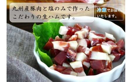 OC-9 N30G 18ヶ月熟成九州産生ハムブロック＆ダイスカット600g 18ヶ月熟成生ハム ブロック 100g×３パック 18ヶ月熟成生ハム ダイスカット 100g×３パック 熟成生ハム 長期熟成 生ハム ブロック肉 ブロック ハム 冷蔵便 冷蔵 人気 シャルキュティエ田嶋 太良町 国産