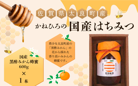 O-36 かねひろの国産はちみつ（黒酢みかん蜜）６００ｇ はちみつ ハチミツ 蜂蜜 ジャム みかんジャム 柑橘 黒酢みかん蜜 百花蜜 国産はちみつ 佐賀県産 太良町 こだわり 贈答品 希少