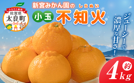 新宮みかん園の不知火(S~M)4kg 【2026年4月上旬~5月上旬まで順次発送予定】 みかん ミカン 蜜柑 たらみかん 太良みかん 不知火みかん しらぬひ デコポン でこぽん 温州みかん 完熟みかん 甘熟 柑橘 国産 佐賀県産 こだわり 有機栽培 産地直送 贈答品 詰め合わせ 極甘 佐賀県 太良町 L59x1