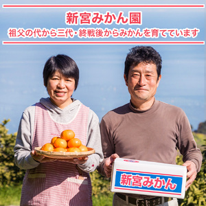 新宮みかん園の不知火(S~M)4kg 【2026年4月上旬~5月上旬まで順次発送予定】 みかん ミカン 蜜柑 たらみかん 太良みかん 不知火みかん しらぬひ デコポン でこぽん 温州みかん 完熟みかん 甘熟 柑橘 国産 佐賀県産 こだわり 有機栽培 産地直送 贈答品 詰め合わせ 極甘 佐賀県 太良町 L59x1