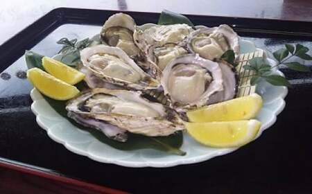 海男の殻付き牡蠣　４０個