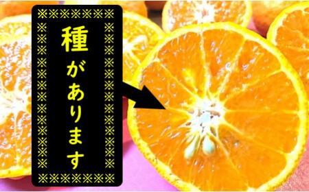 L-113 濃厚！ジューシー！岩本農園のなつみ（小玉）5・品種 ブランド 高級柑橘 甘い 果物 くだもの フルーツ 柑橘 みかん 蜜柑 ギフトプレゼント  贈り物 国産 小玉 種あり 希少