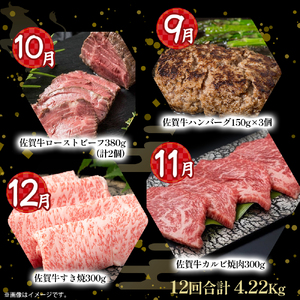UB1 佐賀牛 バラエティ12回定期便  佐賀牛 ブランド牛 国産牛 牛肉 肉赤身 赤身肉 定期便 佐賀県 太良町
