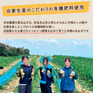 【訳あり】牟田農園の春の新玉ねぎ10kg （M～L） 【2026年4月上旬～6月上旬迄順次発送予定】 たまねぎ タマネギ 野菜 新玉ねぎ 玉ねぎ 佐賀県 太良町 農家直送 L151