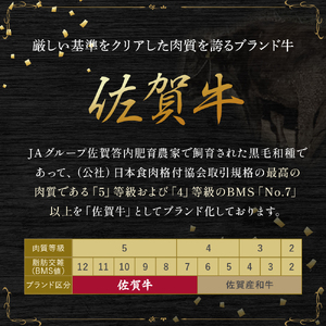 OC14 佐賀牛 ローストビーフ 計480g (2個入り) ブロック 国産牛 和牛 ブランド牛 佐賀牛 牛肉 肉 高級 人気 おすすめ ギフト 贈答 佐賀県 太良町