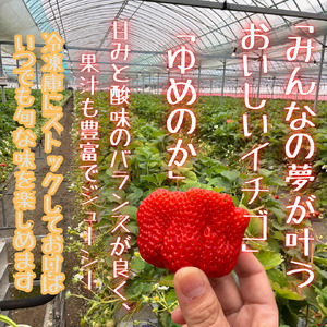 訳あり！太良町産「ゆめのか」冷凍いちご500ｇ×６袋 佐賀県 太良町 OA9