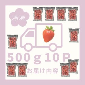 訳あり！太良町産「ゆめのか」冷凍いちご500ｇ×10袋 佐賀県 太良町 PB14