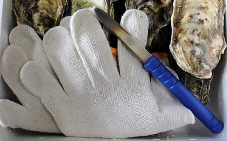 海男の殻付き牡蠣 20個