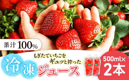 杉本農園のもぎたていちごをギュッと搾った100%冷凍ジュース 500ml×2本 ジュース ストレートジュース 100%ジュース フルーツジュース 飲料 果汁 いちご イチゴ 苺 フルーツ 佐賀県 太良町 NB55