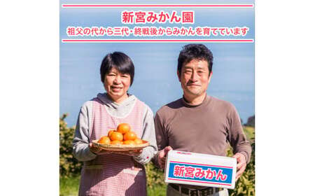 新宮みかん園 はるか 4kg 【2026年2月上旬～6月上旬発送予定】 フルーツ 果物 柑橘 国産 日向夏 新宮みかん園 佐賀県 太良町 L57x1